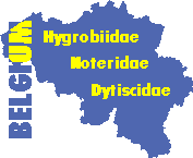 Vers la page d'accueil